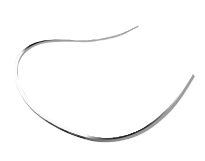 Arch Wire Reverse Curve L (lower) China brand